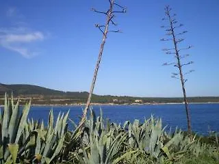 Actinia Accomodation Alghero